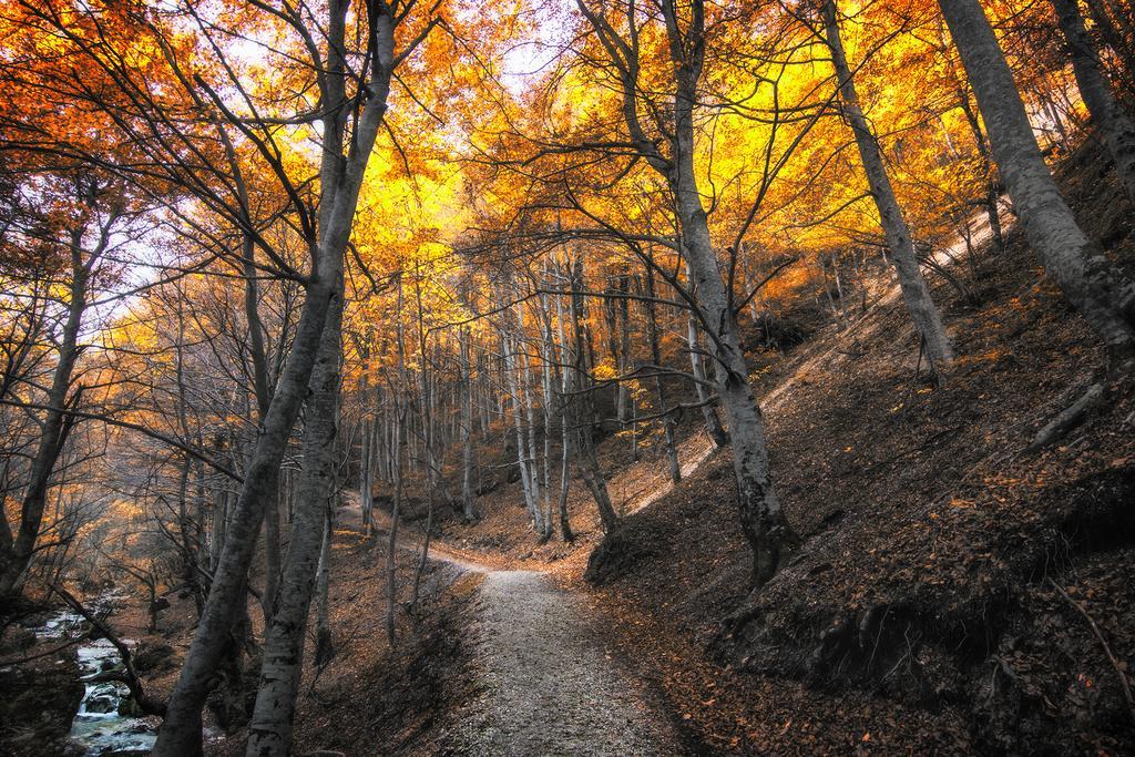 B&B Marconi Montefalcone Appennino Bagian luar foto